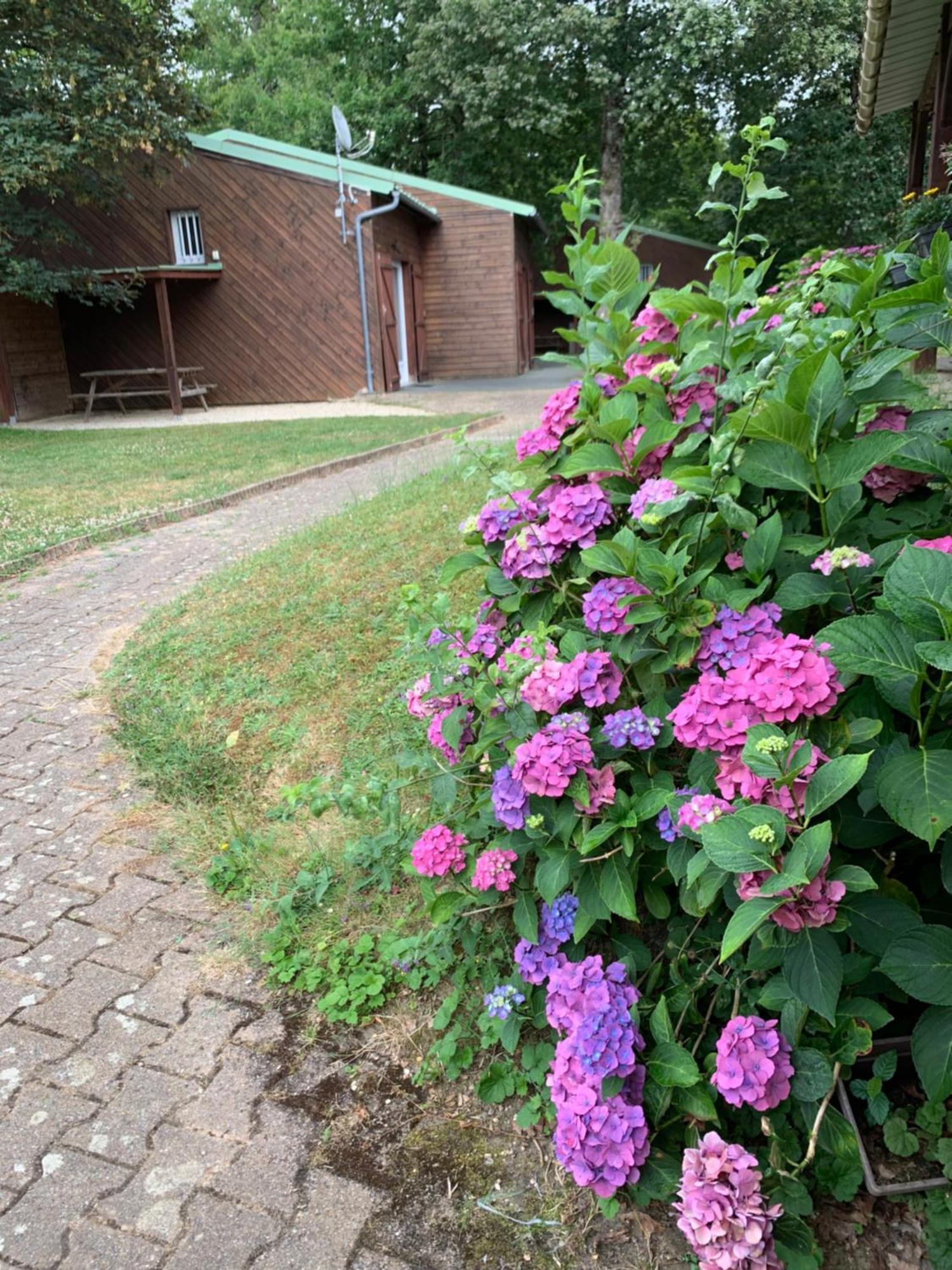 Chalets Mouliere Evasion Montamisé 外观 照片