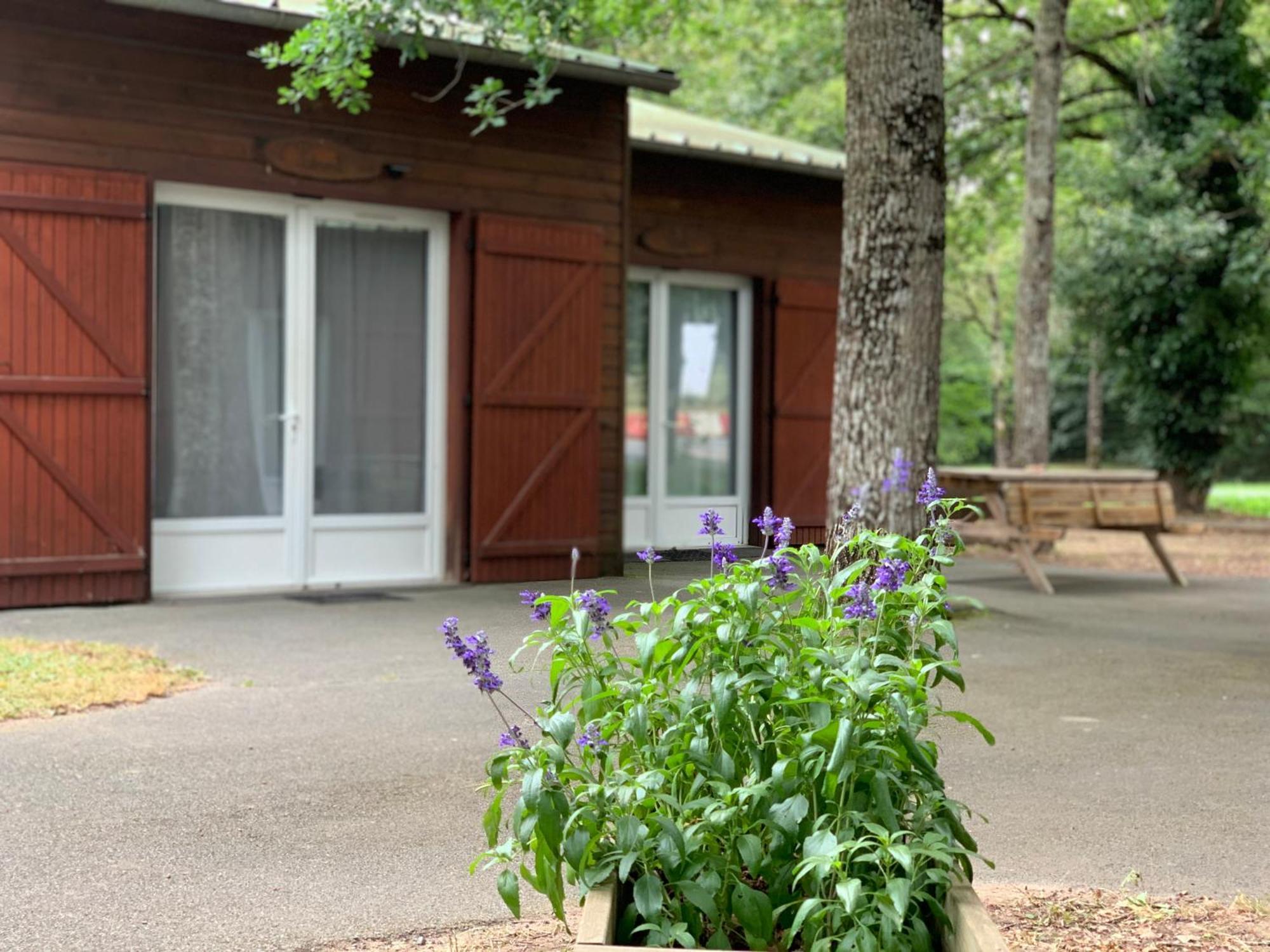 Chalets Mouliere Evasion Montamisé 外观 照片