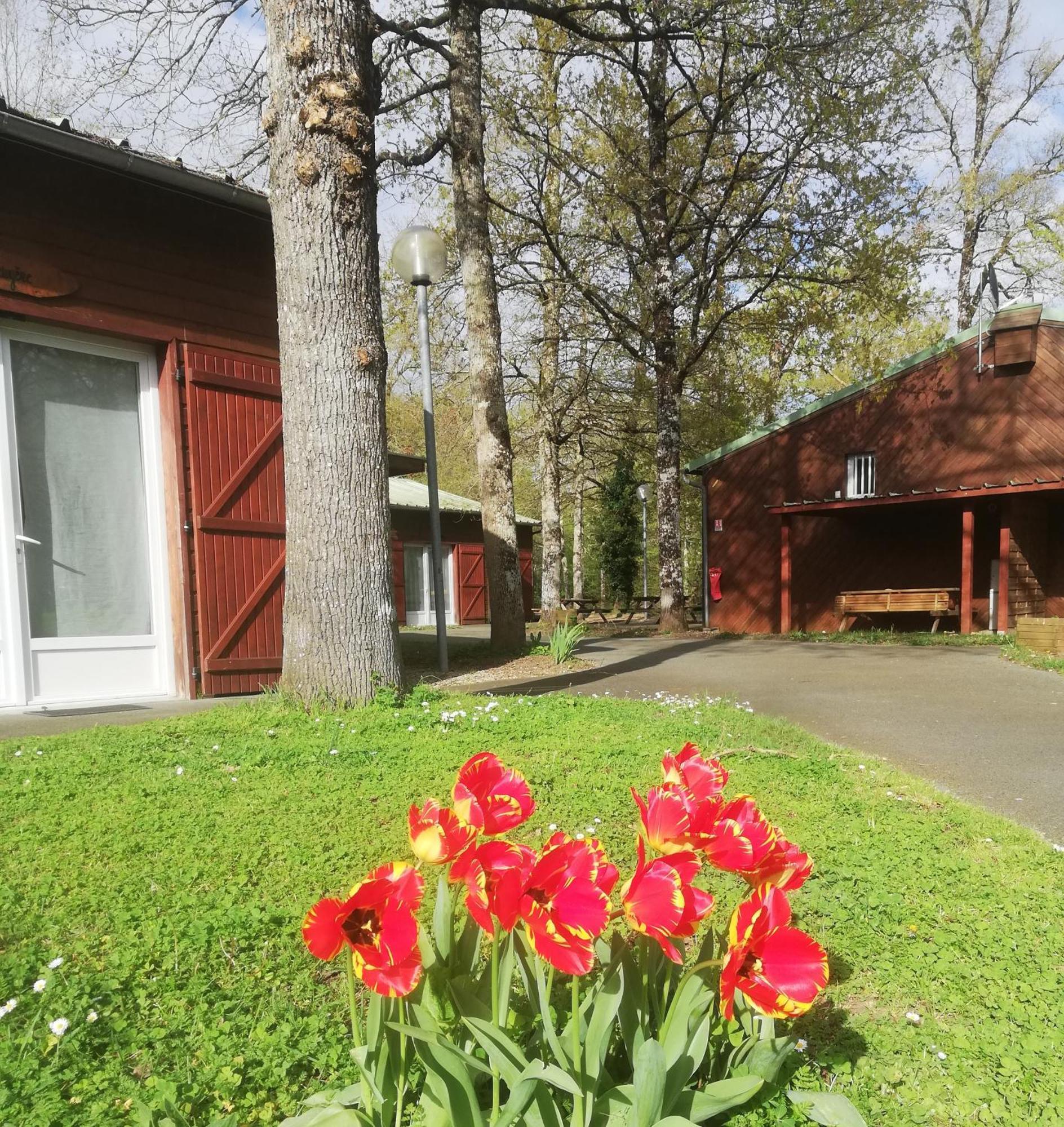 Chalets Mouliere Evasion Montamisé 外观 照片